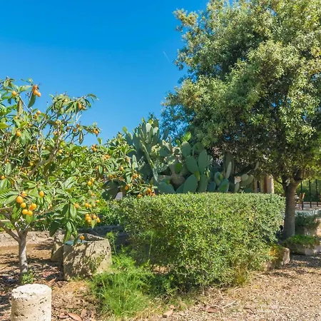 Mostatxet * Can Picafort (Mallorca)