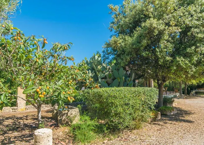 Mostatxet * Кан Пикафорт